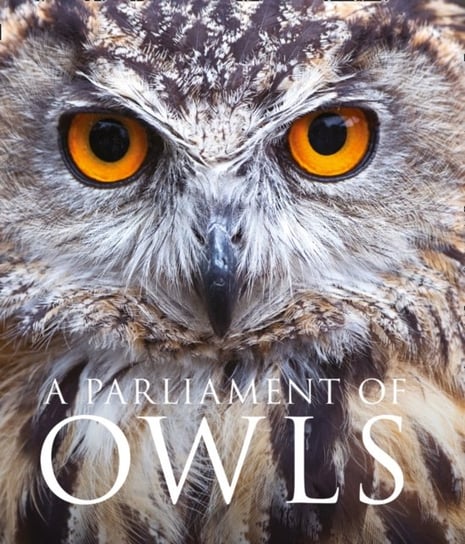 A Parliament of Owls Unwin Mike