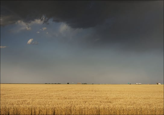 A perfectly flat wheatfield, worthy of western Kansas, Carol Highsmith - plakat 40x30 cm Galeria Plakatu