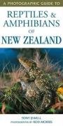 A Photographic Guide to Reptiles and Amphibians of New Zealand Jewell Tony