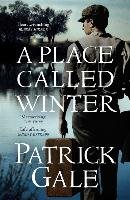 A Place Called Winter: Costa Shortlisted 2015 Gale Patrick
