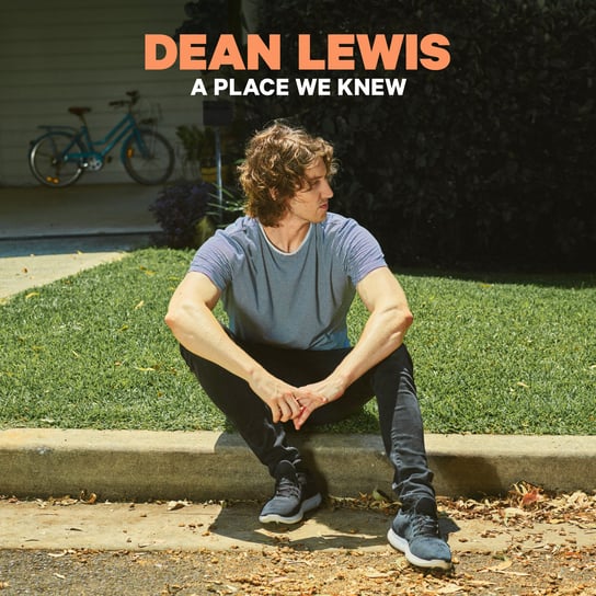 A Place We Knew Lewis Dean