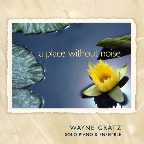 A Place Without Noise Wayne Gratz