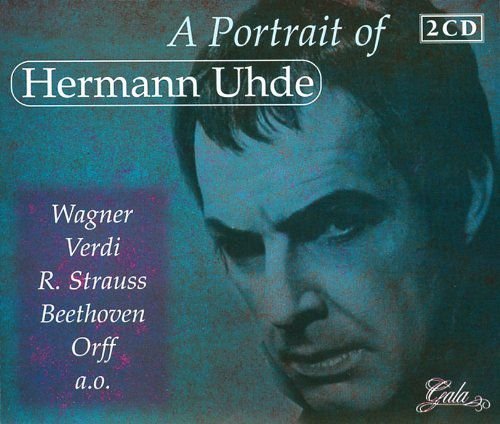 A Portrait Of Hermann Uhde