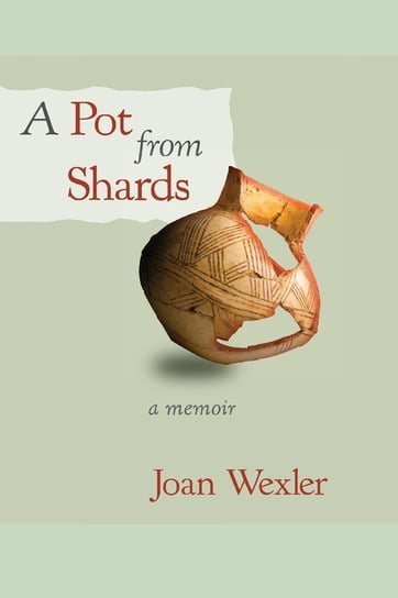 A Pot From Shards Wexler Joan
