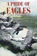 A Pride of Eagles: A History of the Rhodesian Air Force Salt Beryl