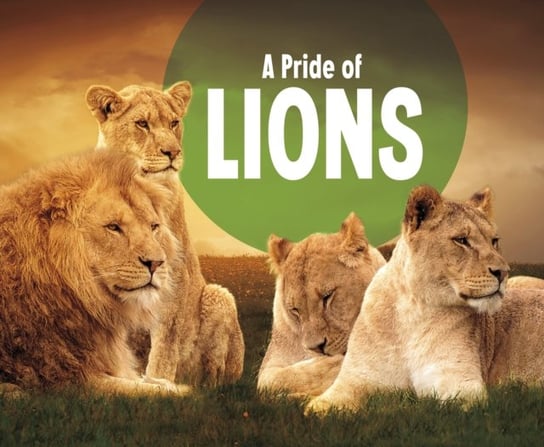 A Pride of Lions Amy Kortuem