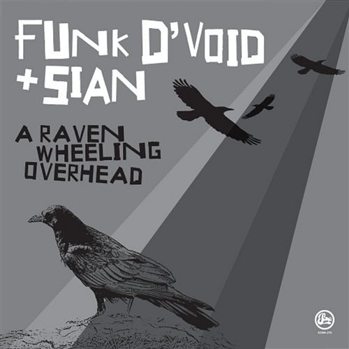 A Raven Wheeling Overhead Funk D'Void & Sian