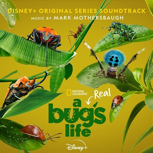 A Real Bug's Life Mark Mothersbaugh