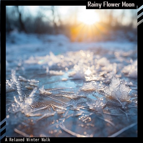 A Relaxed Winter Walk Rainy Flower Moon
