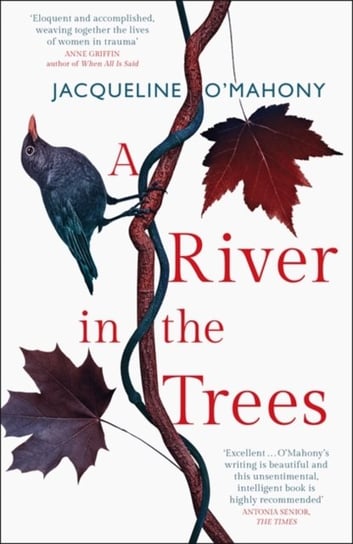 A River in the Trees Jacqueline O'Mahony