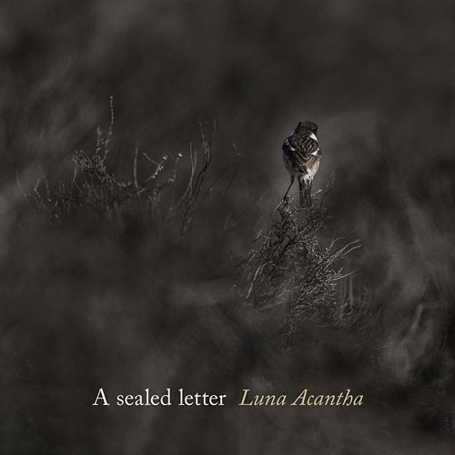A sealed letter Luna Acantha