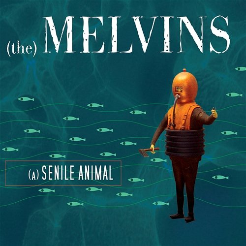 A Senile Animal Melvins