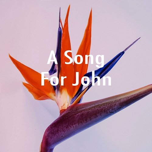 A Song for John Joao Marsden