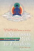 A Spacious Path to Freedom: Practical Instructions on the Union of Mahamudra and Atiyoga Chagme Karma
