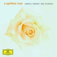 A spotless rose Mccreesh Gabrieli Co