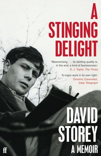 A Stinging Delight: A Memoir Storey David