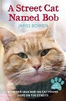 A Street Cat Named Bob Bowen James