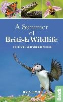 A Summer of British Wildlife Lowen James