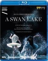 A Swan Lake (brak polskiej wersji językowej) 