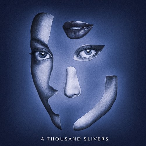 A Thousand Slivers Sofia Karlberg