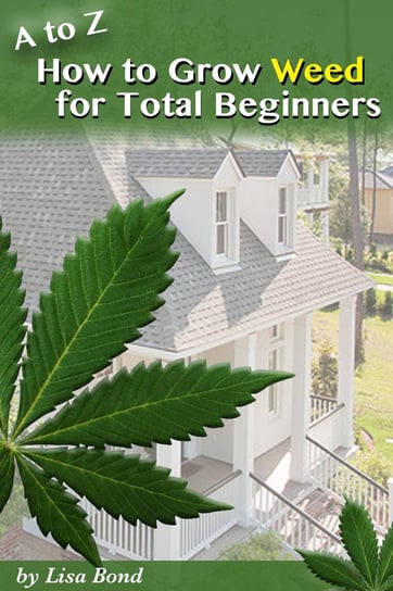 A to Z How to Grow Weed at Home for Total Beginner Lisa Bond