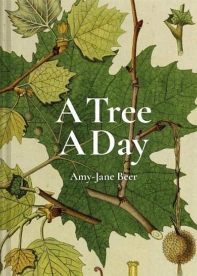 A Tree A Day Beer Amy-Jane