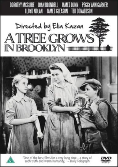 A Tree Grows in Brooklyn (brak polskiej wersji językowej) Kazan Elia