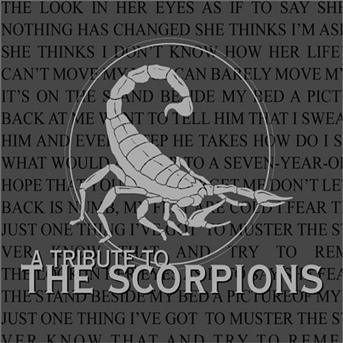 A Tribute to Scorpions Various Artists