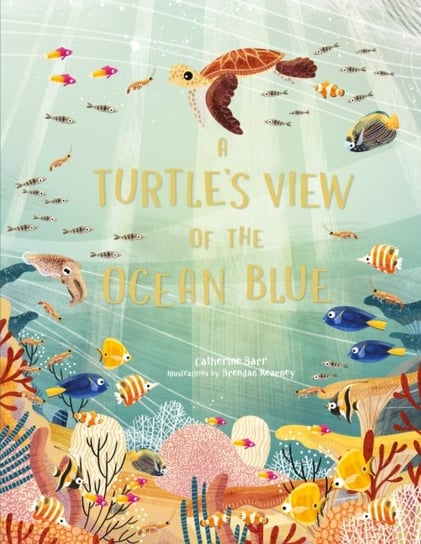 A Turtles View of the Ocean Blue Barr Catherine