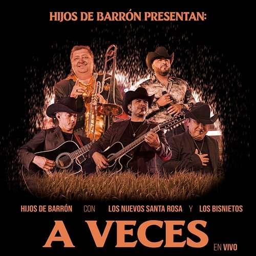 A Veces Hijos De Barron, Los Bisnietos, Banda Sinaloense Los Nuevos Santa Rosa de Ernesto Soto