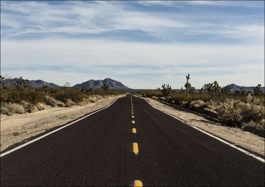 A very long and very brown road in the Mojave National Preserve in California, Carol Highsmith - plakat 100x70 cm Galeria Plakatu