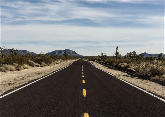 A very long and very brown road in the Mojave National Preserve in California, Carol Highsmith - plakat 84,1x59,4 cm Galeria Plakatu