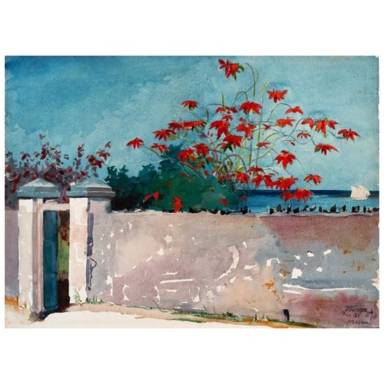 A Wall, Nassau - Winslow Homer 80x110 Legendarte