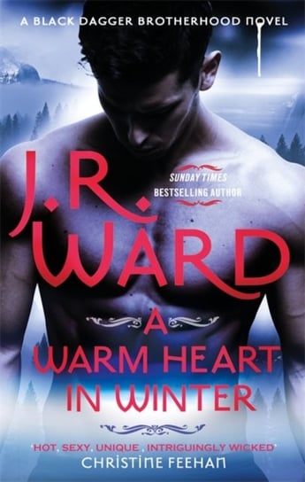 A Warm Heart in Winter Ward J. R.