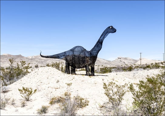 A whimsical dinosaur figure in southern Brewster County, Texas., Carol Highsmith - plakat 84,1x59,4 cm Galeria Plakatu