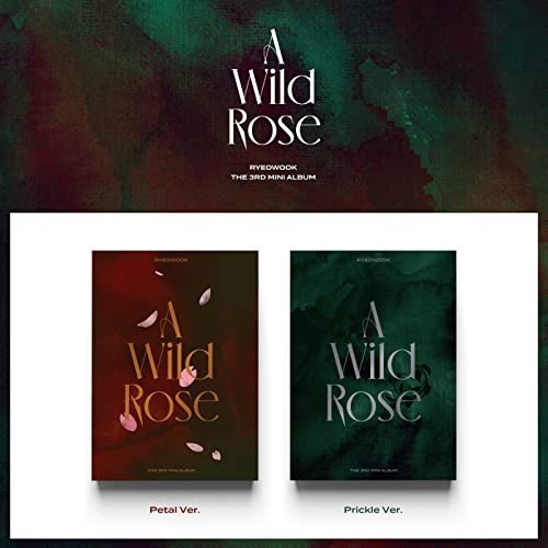 A Wild Rose Various Artists