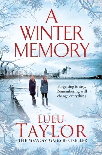 A Winter Memory Lulu Taylor