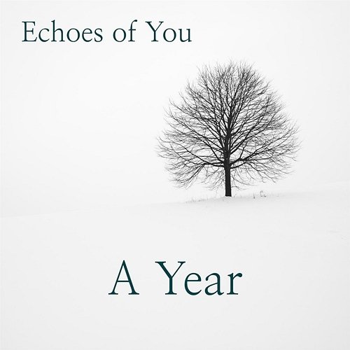A Year Echoes of You
