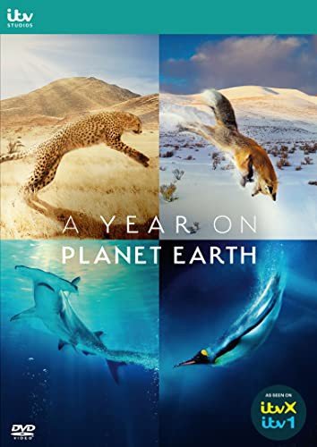 A Year On Planet Earth Various Directors