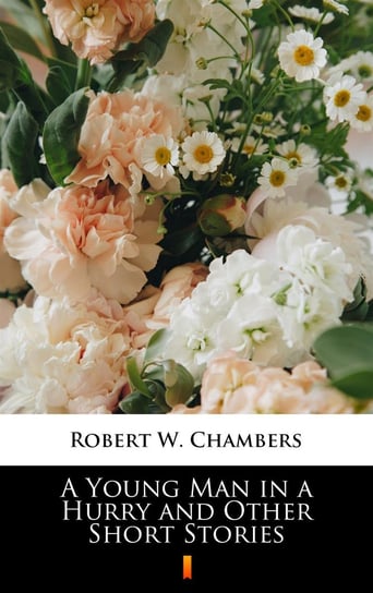 A Young Man in a Hurry and Other Short Stories Chambers Robert W.