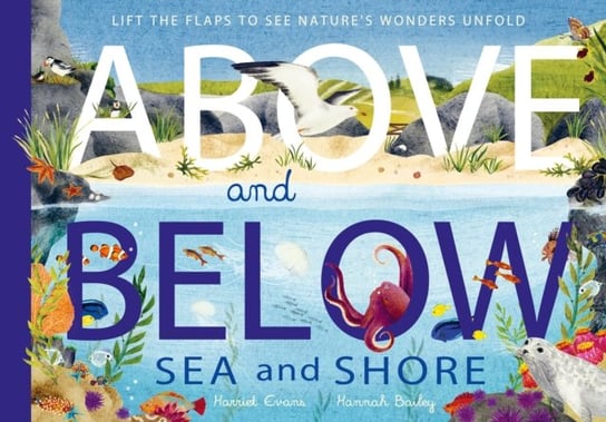Above and Below: Sea and Shore: Lift the flaps to see natures wonders unfold Evans Harriet, Hannah Bailey