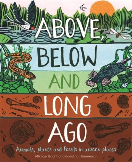 Above, Below and Long Ago. Animals, plants and fossils in unseen places Bright Michael