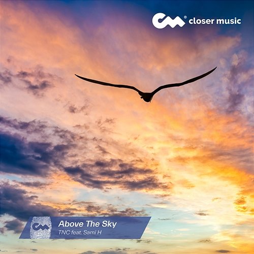 Above The Sky TNC feat. Sami H