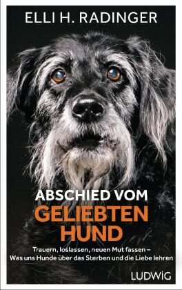 Abschied vom geliebten Hund Ludwig, Munchen