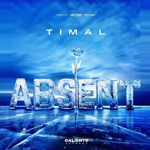 Absent Timal