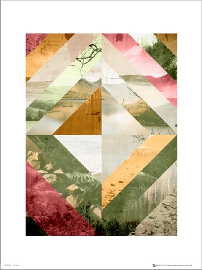 Abstract Wilderness Pink - plakat premium 30x40 cm Inna marka