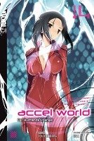 Accel World - Novel 14 Kawahara Reki, Hima, Biipii