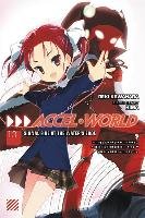 Accel World, Vol. 13 (light novel) Kawahara Reki