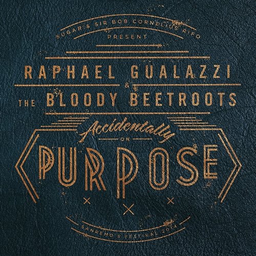 Accidentally On Purpose Raphael Gualazzi