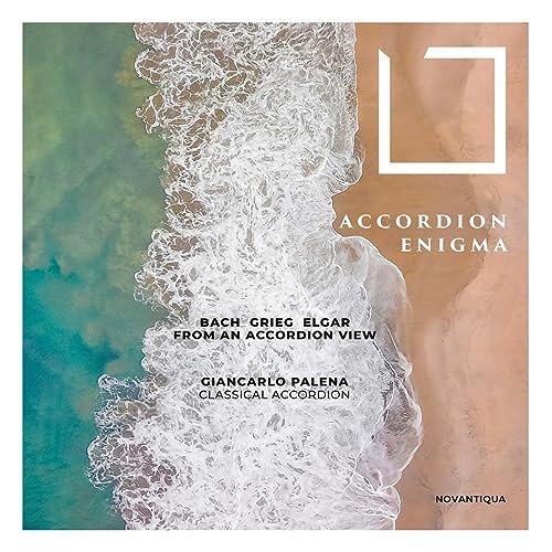 Accordion Enigma - Various Artists | Muzyka Sklep EMPIK.COM